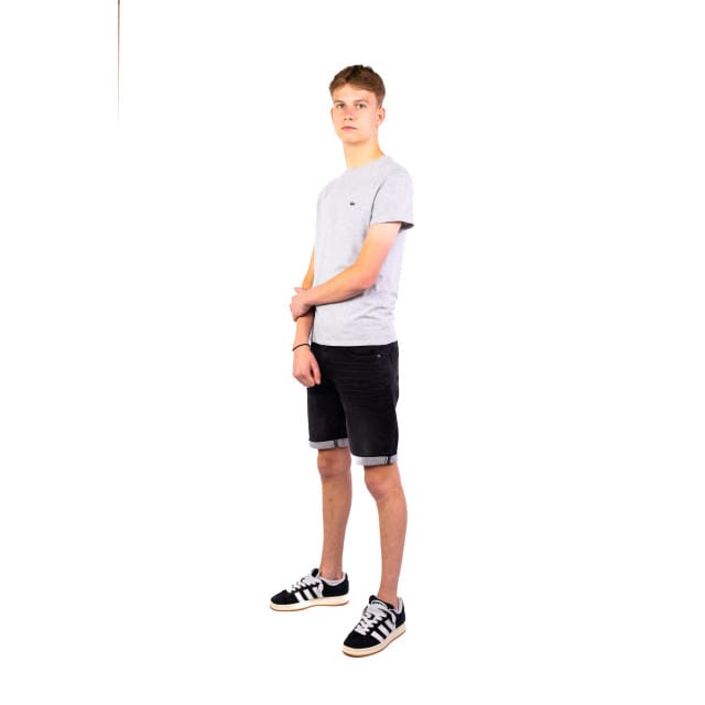 Lacoste Heren T-shirt - Silver Chine - Maat XXL