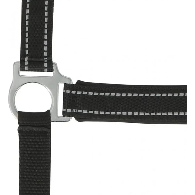 Halster voor paarden Norton Reflective