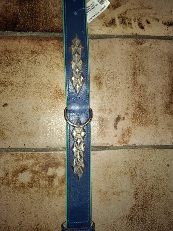 Halsband hond master geo 60 cm met nikkel versieringen blauw