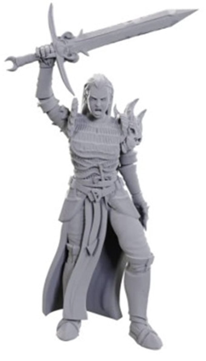 D&D Nolzur's Marvelous Miniatures Blackguard