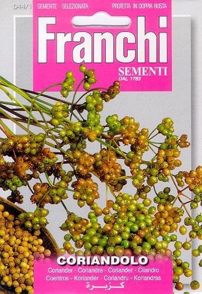 Franchi - Coriandolo - Koriander