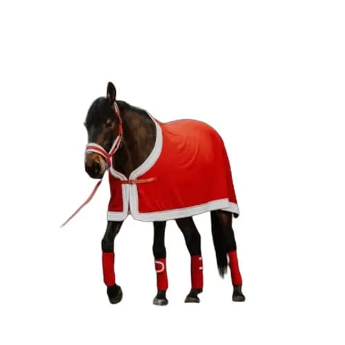 Fleece shirt voor paarden Equithème Xmas