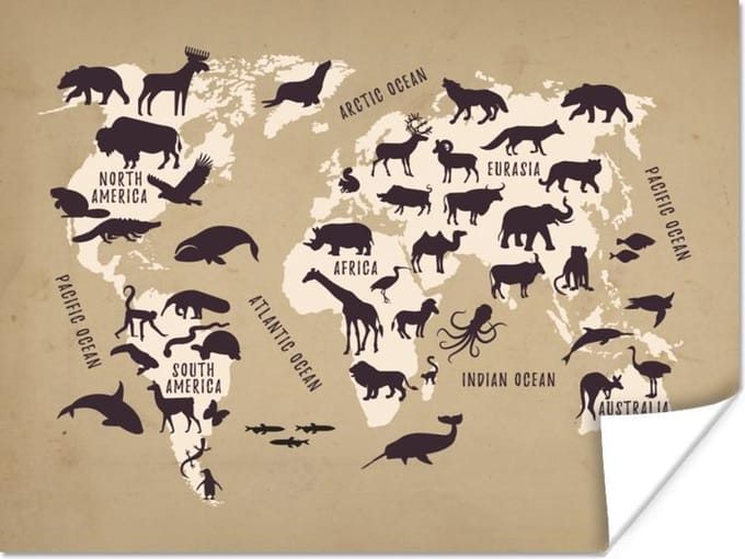 Poster - Wereldkaart - Dieren - Bruin - 40x30 cm
