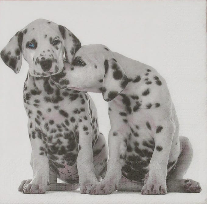 Lunch servetten Dalmatians - Paper + Design - 33x33 cm