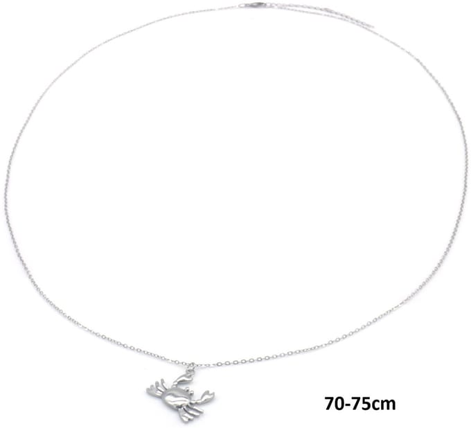 Ketting Krab – RVS – 75cm