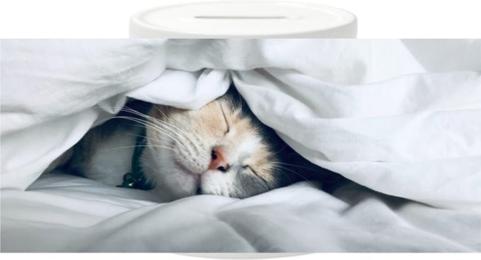 Spaarpots - Poes onder Laken