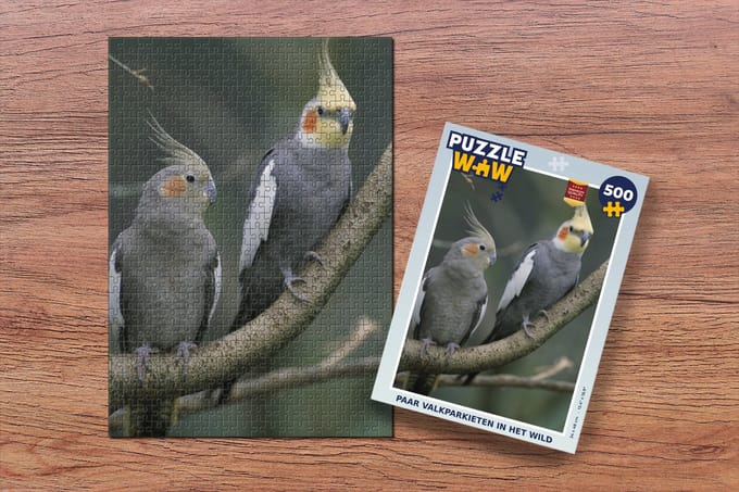 Puzzel Paar valkparkieten in het wild - Legpuzzel - Puzzel 500 stukjes