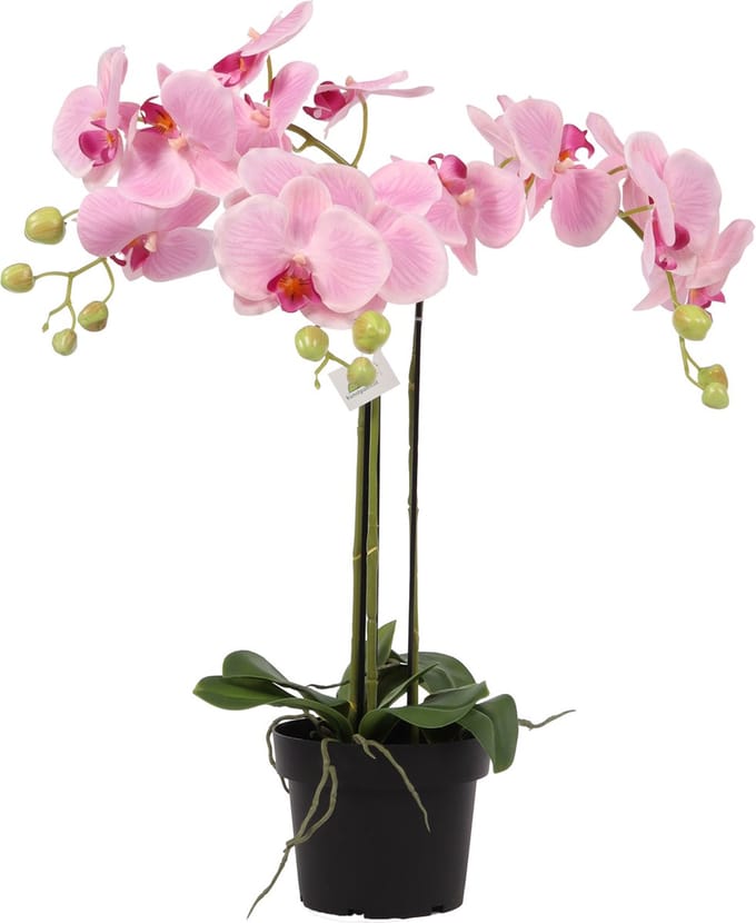 Kunst Orchideeplant Roze – 65 cm – Real Touch Bloemen – In Zwarte Pot – Kunst orchidee