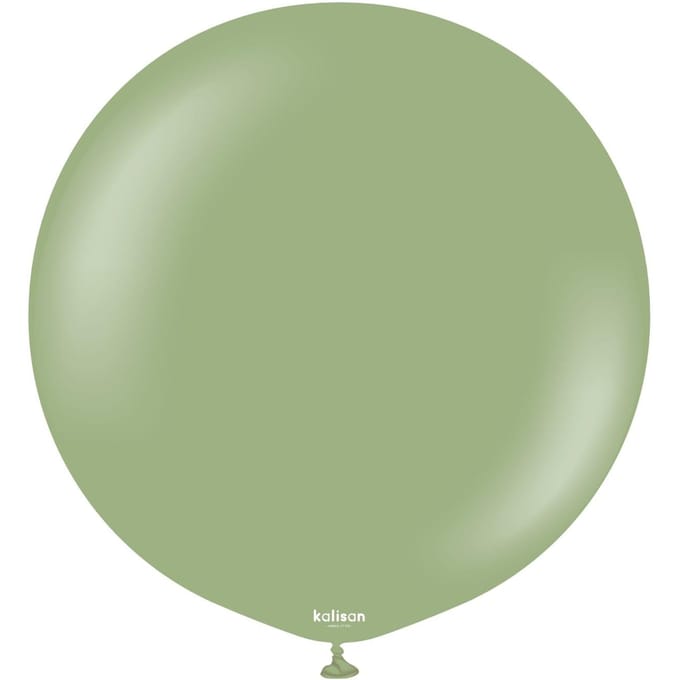 Ballons Latex Rétro Eucalyptus, Vert 45 Cm, 25 Pcs.