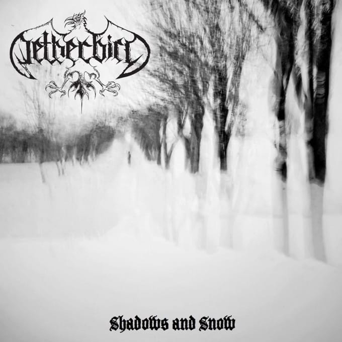 Shadows And Snow
