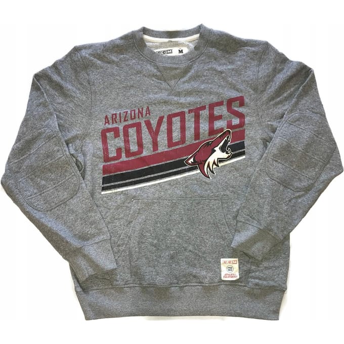 Hoodie Arizona Coyotes Nhl Ccm Pro Vintage L gray