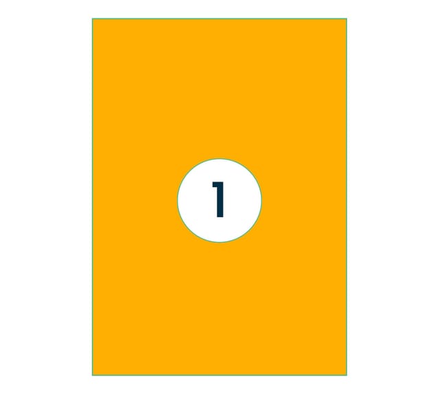 Etiket Rillprint 210x297mm fluor oranje 100 stuks