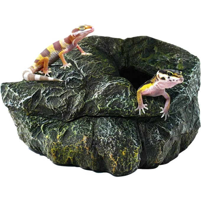 Reptielen schuilplaats Zoomed Shelter