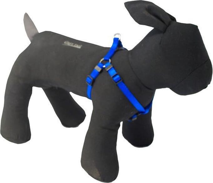 Nylon bh-tuig voor hond ruit Blauw 10 mmx35-45 cm