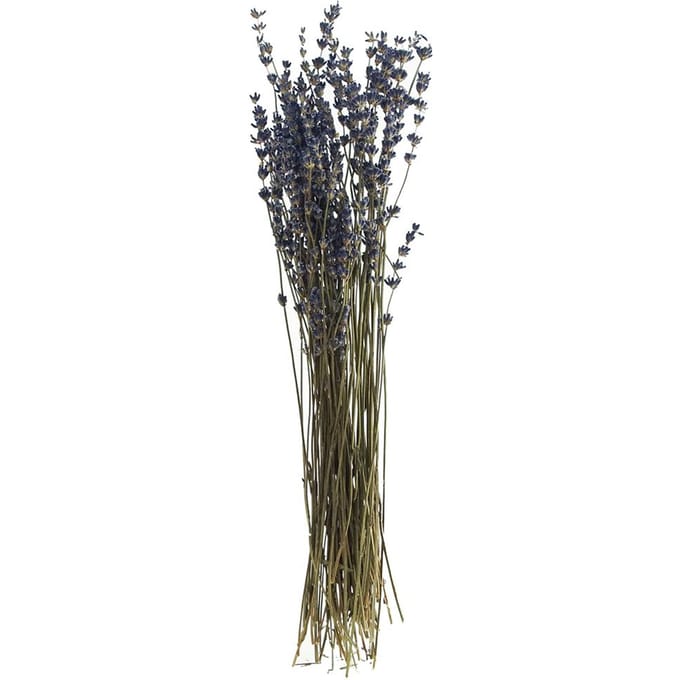 Lavendel natuurlijk blauw