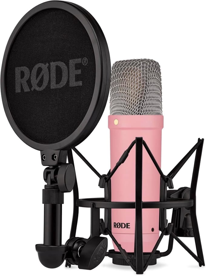 Grote Condensatormicrofoon voor Studioopnames, Zang, Streaming en Podcasts - Inclusief Shockmount en Popfilter