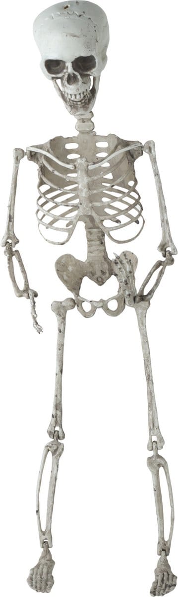 Horror decoratie hangend skelet 70 cm - Halloween thema versiering poppen
