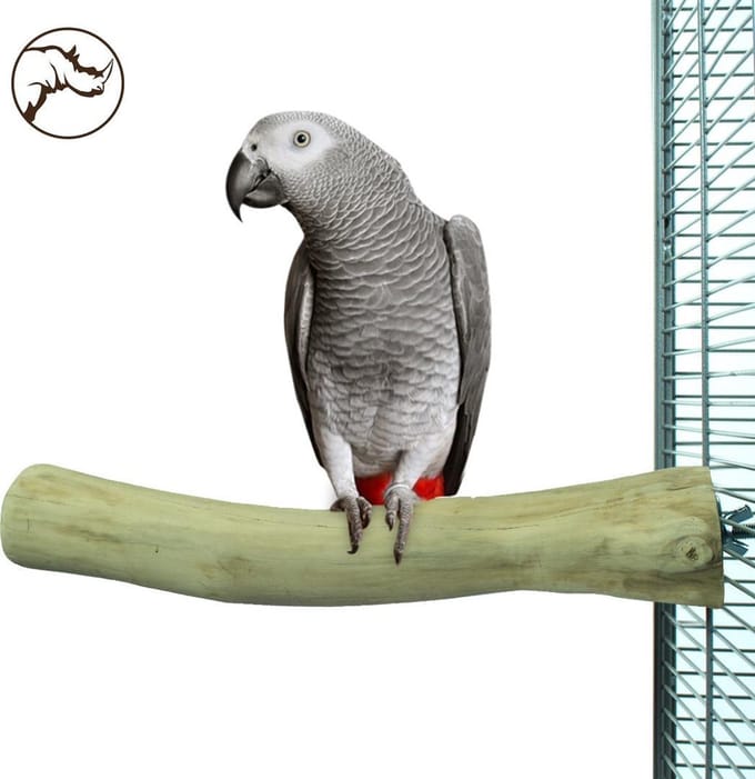 Back Zoo Nature Single Perch Large