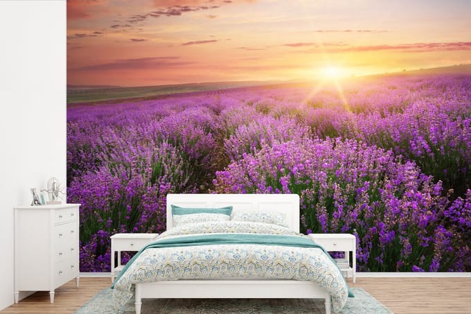 Behang - Fotobehang Lavendel - Zon - Bloemen - Breedte 360 cm x hoogte 240 cm