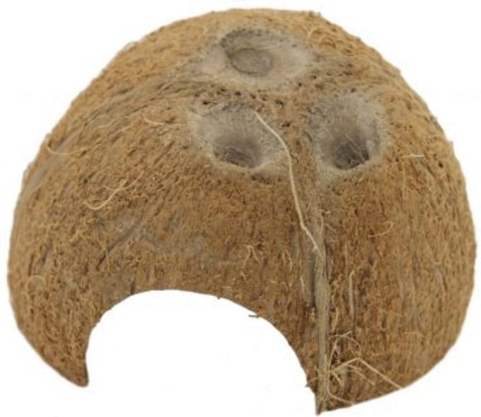 Ceramicnature Cocosnoot Schuilplaats - Aquarium - Ornament - Bruin