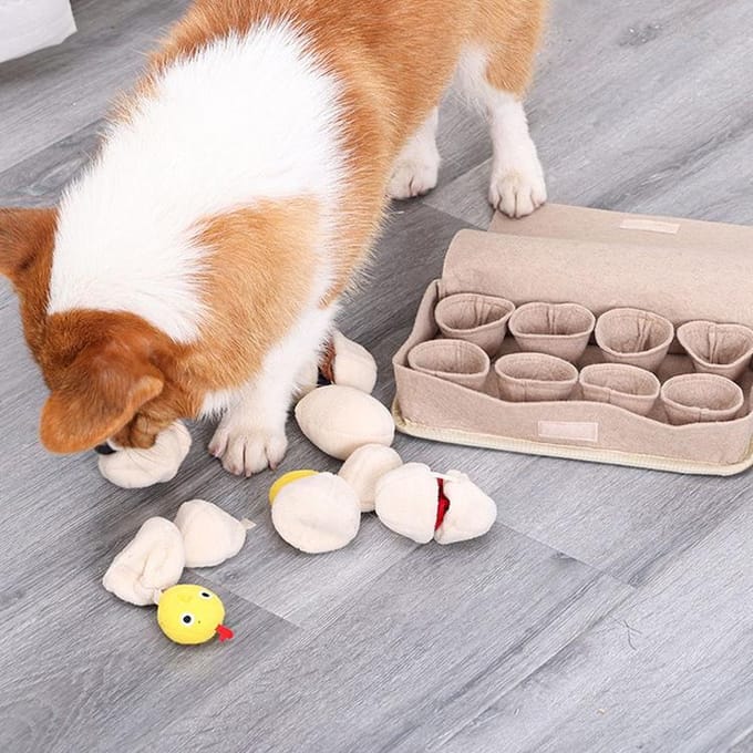 [Mords-moi] Manuel de jeu Woof Scout Nosework 1EA beige