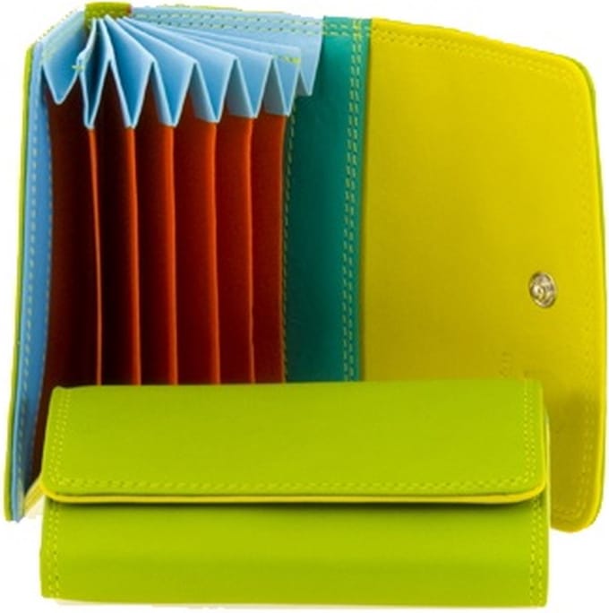 MyWalit - Fan Credit Card Holder - Bombay Lime Multi