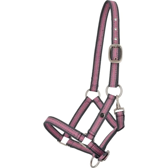Qhp Veulenhalster Qhp Collection Roze