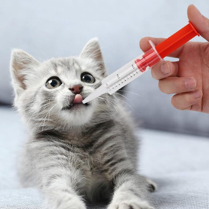 Huisdier Kat Hond Druktype Voeding Medicijnen Applicator Voeder Naald Droog Nat Dubbel Gebruik gray
