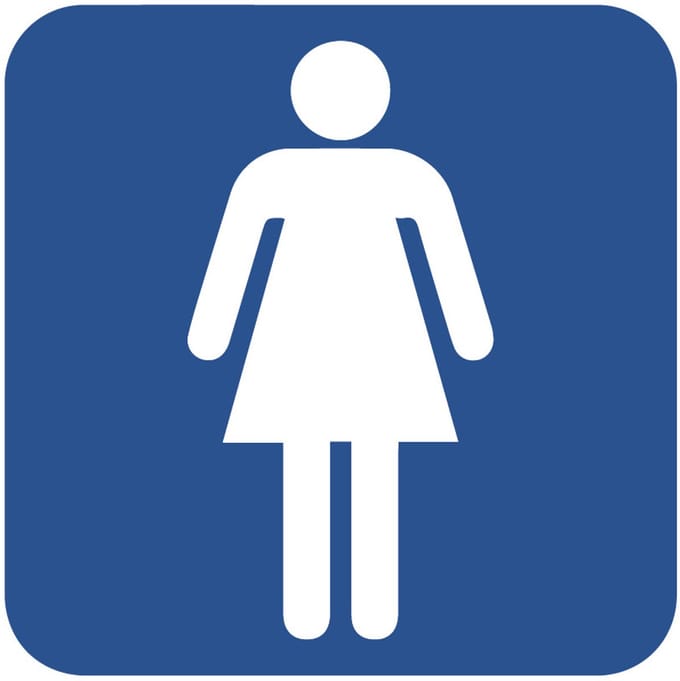 WC deur sticker toilet dames 100 x 100 mm