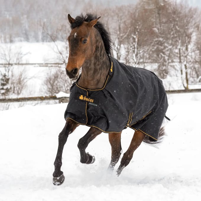 Bucas - Irish Turnout Classic Black / Gold 190