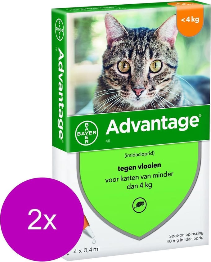 Advantage 40 Kat 4 pip - Anti vlooienmiddel - 2 x 0.4 ml - 0 - 4 Kg