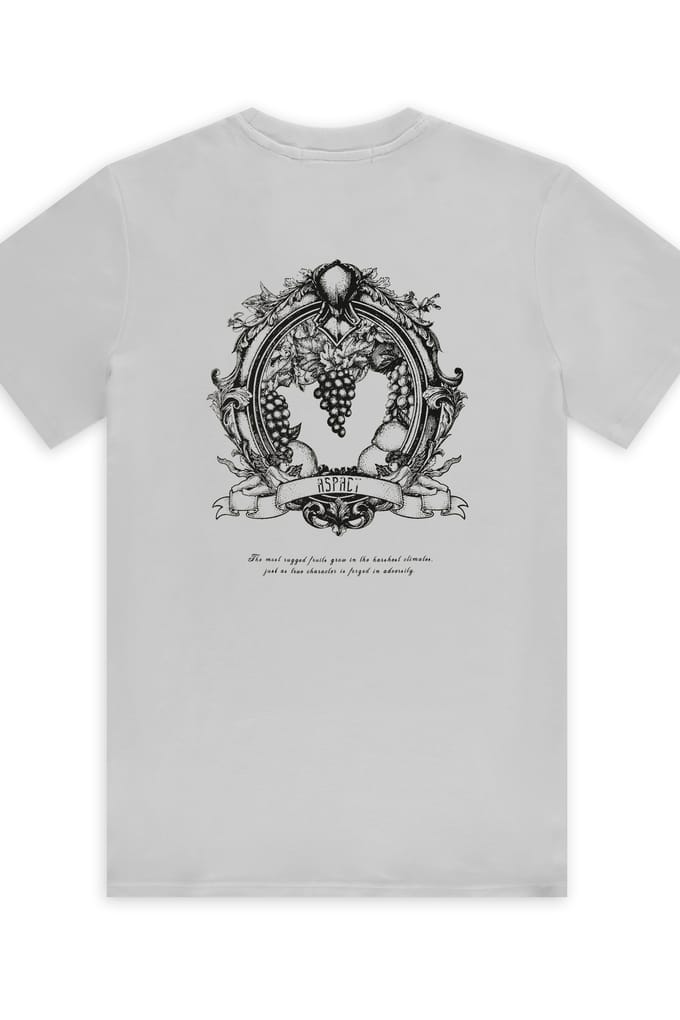 Aspact Unisex Zain Tee Grey Größe: XS | Hemden Outlet | Unisex | Grau