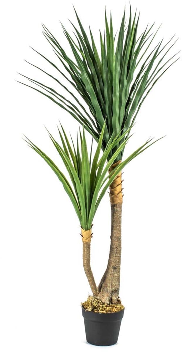 HomeBound by KY | Kunstplant Yucca 120cm | kunstplant