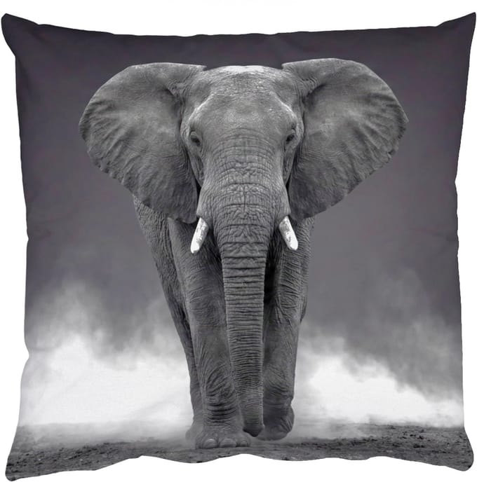 Sierkussens - Kussentjes Woonkamer - 60x60 cm - Olifant - Zwart - Wit - Rook