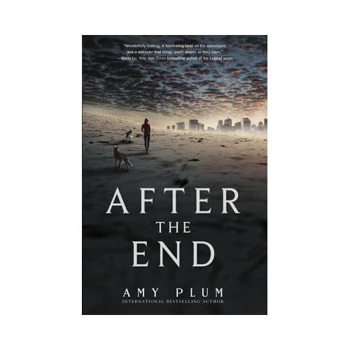 After The End - Amy Plum