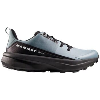 Wandelschoenen Mammut Aenergy Hike Low Gtx