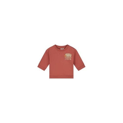Prénatal baby sweater Brown Red 56 heren