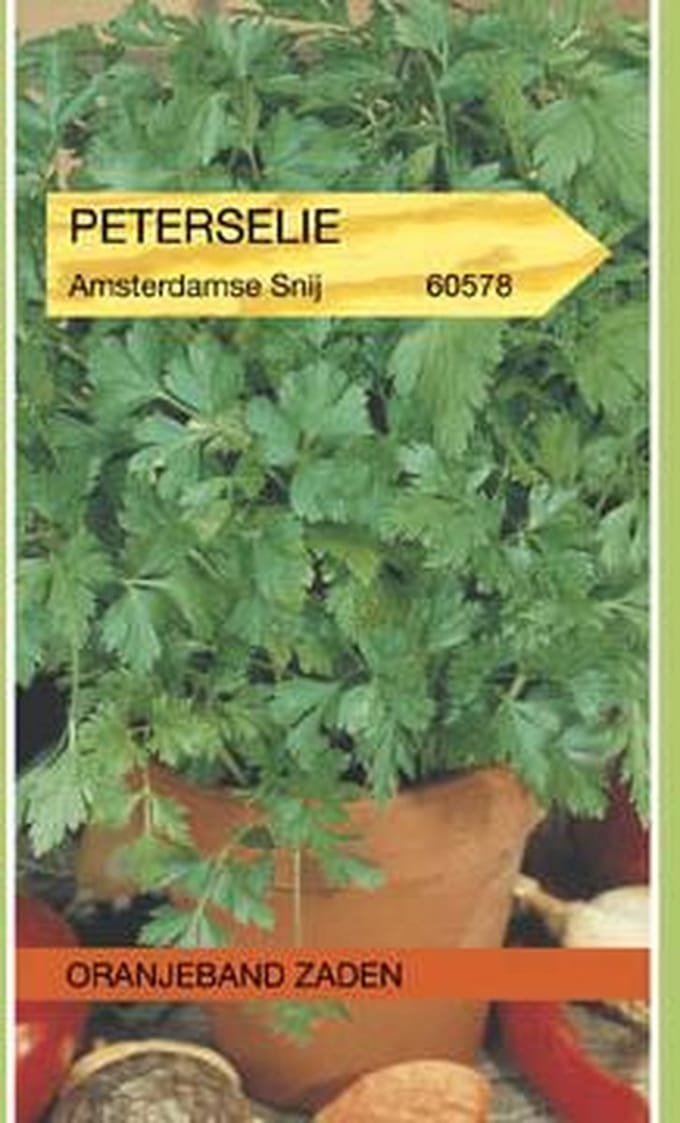 Peterselie Amsterdamse Snij