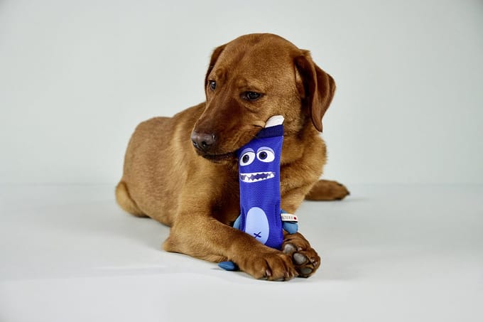 dummy hond- training dummy - hondenspeelgoed - apporteerspeelgoed - speelgoed hond - blauw - maat 31cm