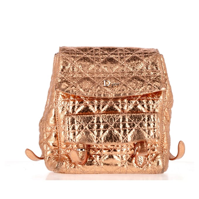 Dior Stardust Rugzak in Gouden Leer