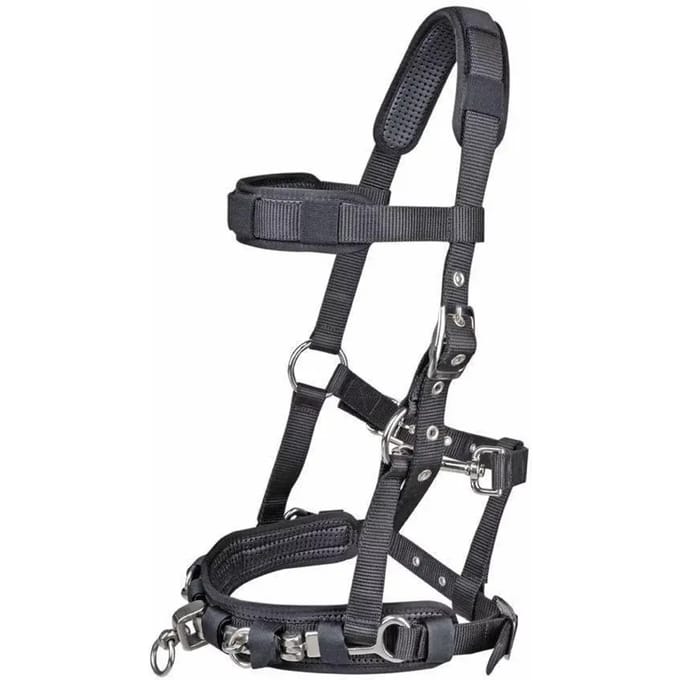 Nylon hoofdstel voor paard HKM Kate