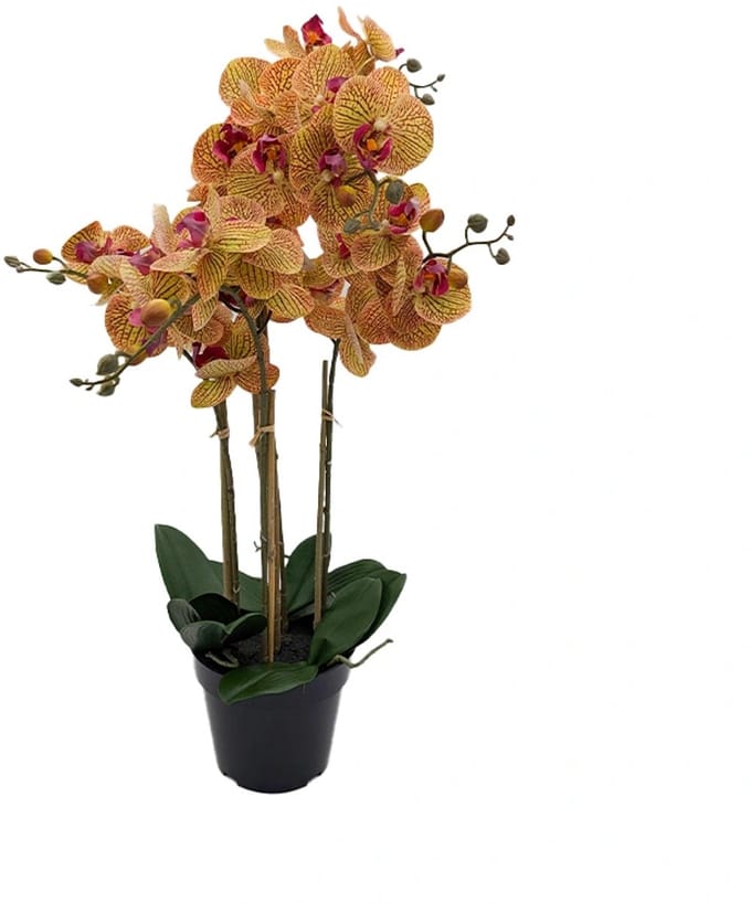 Kunst Phalaenopsis Orchidee In Pot x5 60 cm - Tiger Yellow