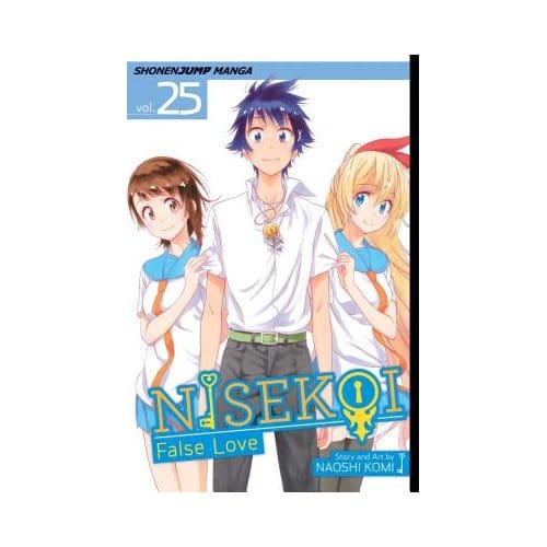 Nisekoi: False Love, Vol. 25 - Nisekoi: False Love - Naoshi Komi