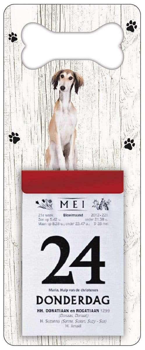 Scheurkalender 2027 Hond: Saluki