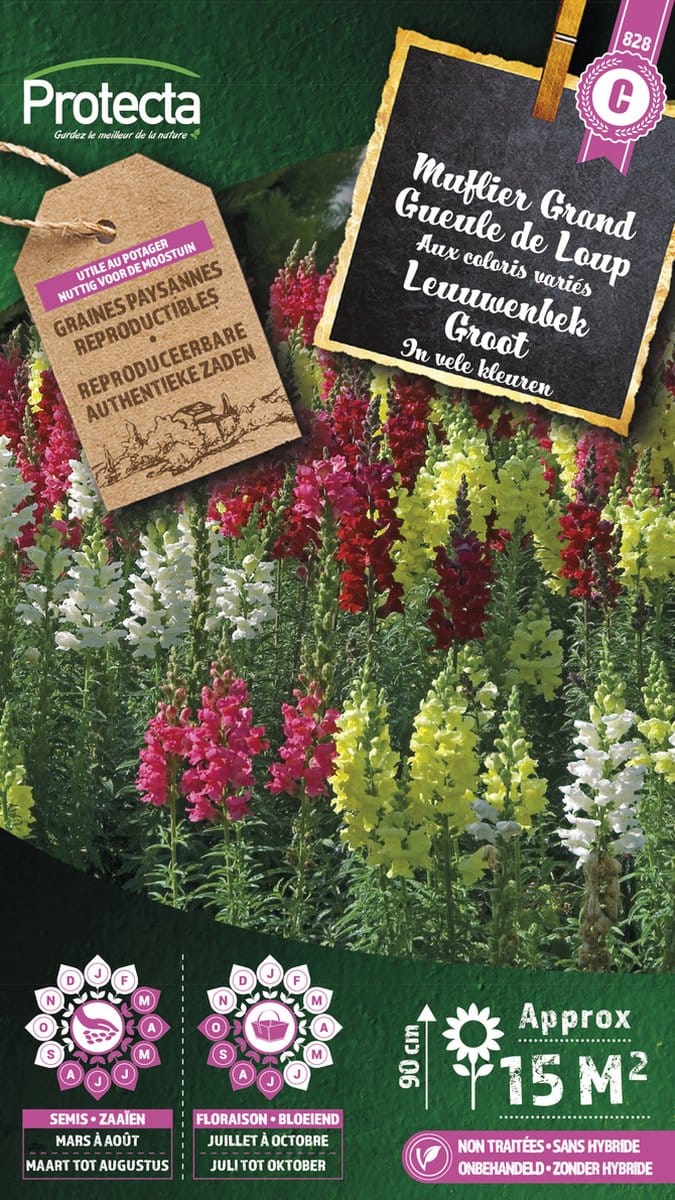 Protecta Bloemen zaden: Leeuwenbek Groot gemengd