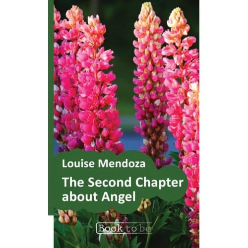 The Second Chapter About Angel - Louise Mendoza
