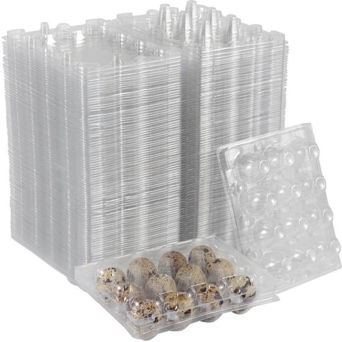 Allecto - 50 Stuks Kwarteleierdoosjes - Duurzaam en Transparant