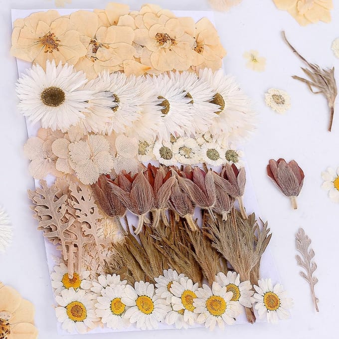 100 Stuks Echte Gedroogde Persbloemen en Bladeren voor Hars Kunst en DIY Sieraden