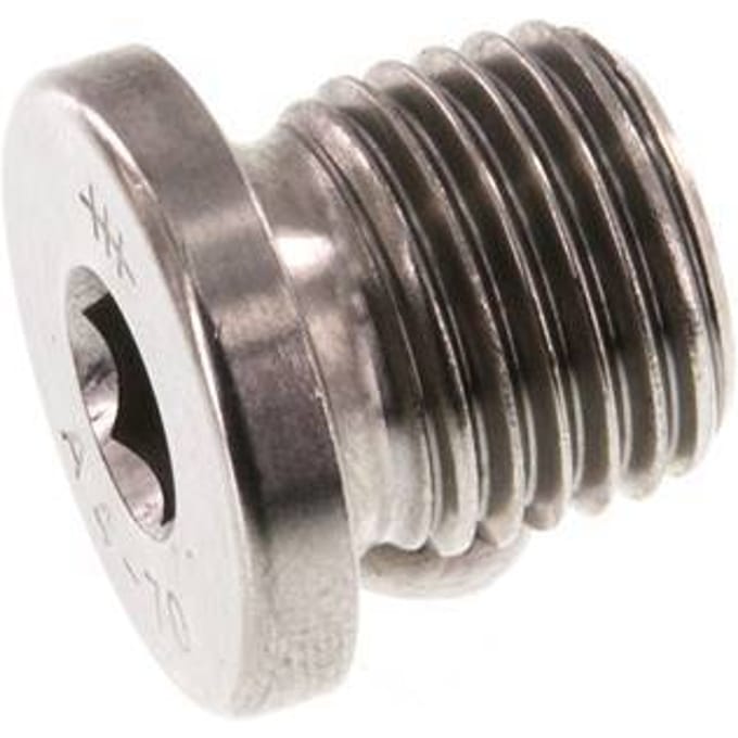 G 1/4'' RVS Plug met Binnenzeskant 40 Bar