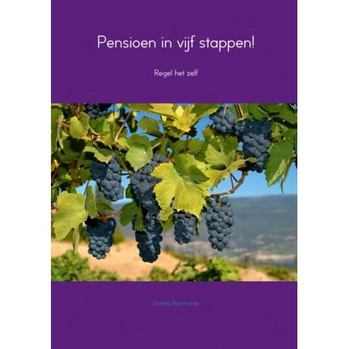 Pensioen In Vijf Stappen! - Greetje Remmerde
